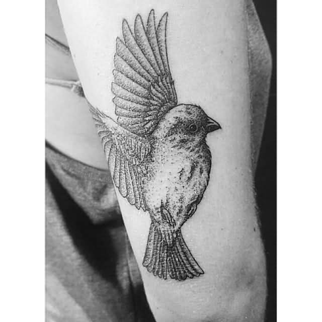 Animals & mandalas are the best combo 🙌🏼 • • • • • • #tattoo  #tattooartist #tattoodesign #tattooidea #tattooing #manda... | Instagram